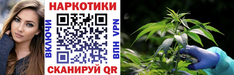 Какие есть наркотики Алексеевка Cocaine  ГАШИШ  kraken зеркало  Бошки Шишки 