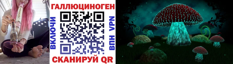Псилоцибиновые грибы прущие грибы  Алексеевка 